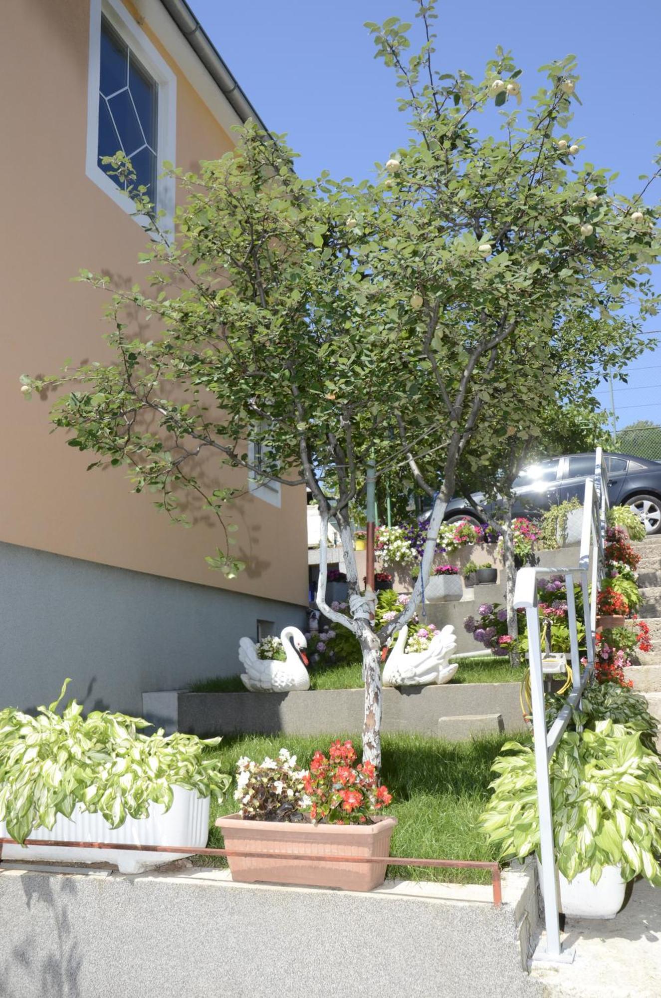 Apartments Lilly - Studio Rijeka Zewnętrze zdjęcie