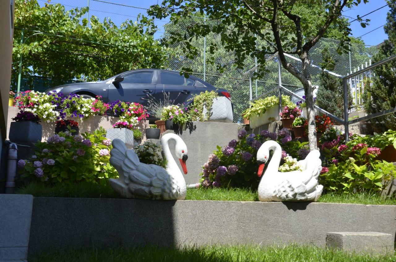 Apartments Lilly - Studio Rijeka Zewnętrze zdjęcie