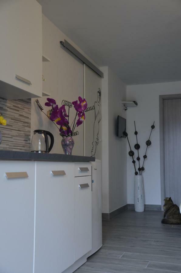 Apartments Lilly - Studio Rijeka Zewnętrze zdjęcie